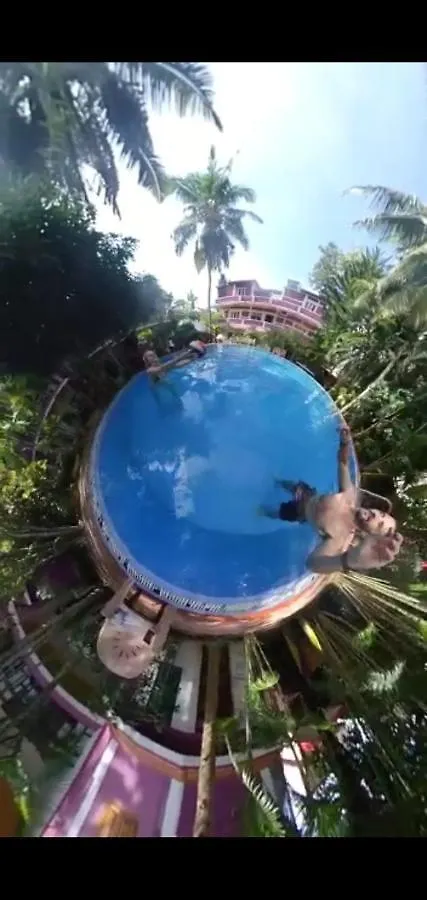 Wilson Ayurvedic Beach Resorts 코발람비치 2*,